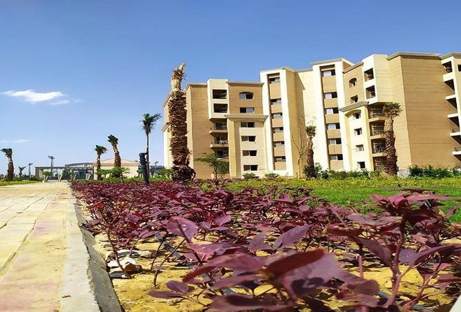 8396382 - صورة العقار 3