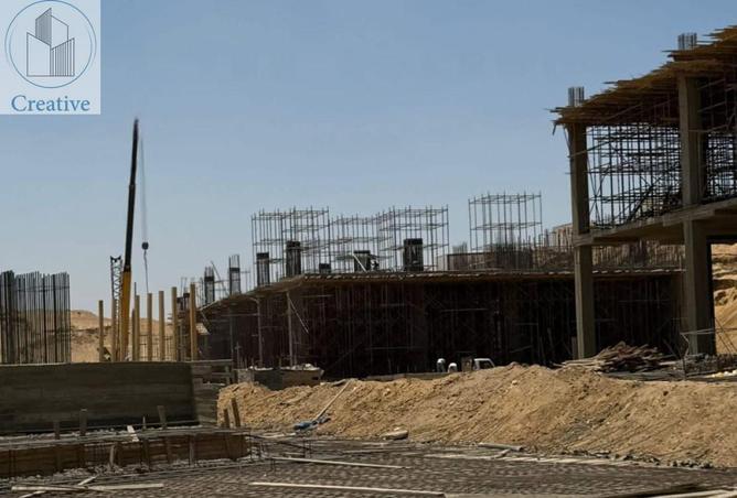 8399894 - Property Image 3