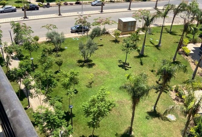 8394527 - صورة العقار 3