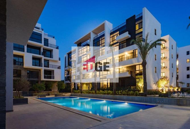 8397203 - Property Image 3