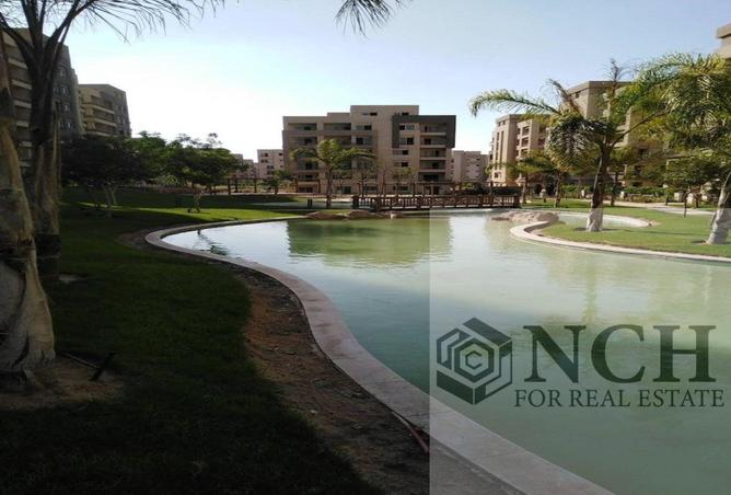 8405431 - صورة العقار 3