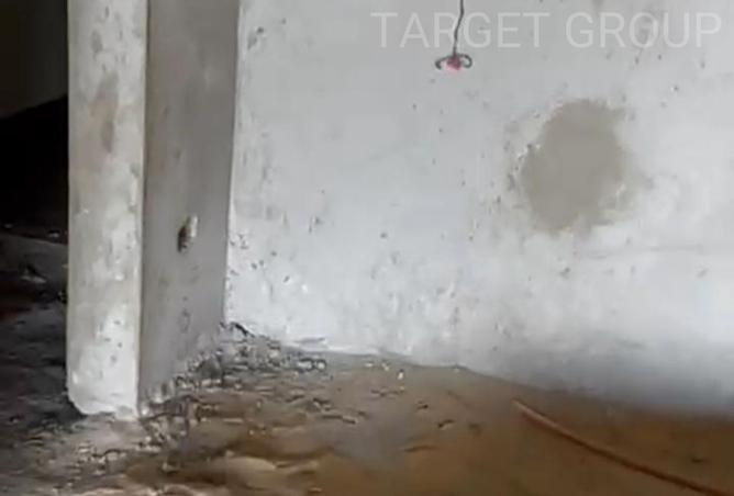 8395934 - صورة العقار 3