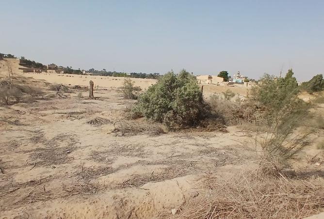 8398154 - صورة العقار 3