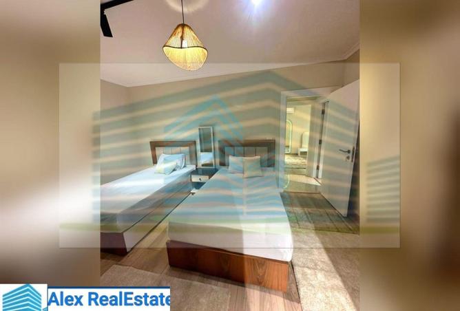 8397314 - Property Image 2