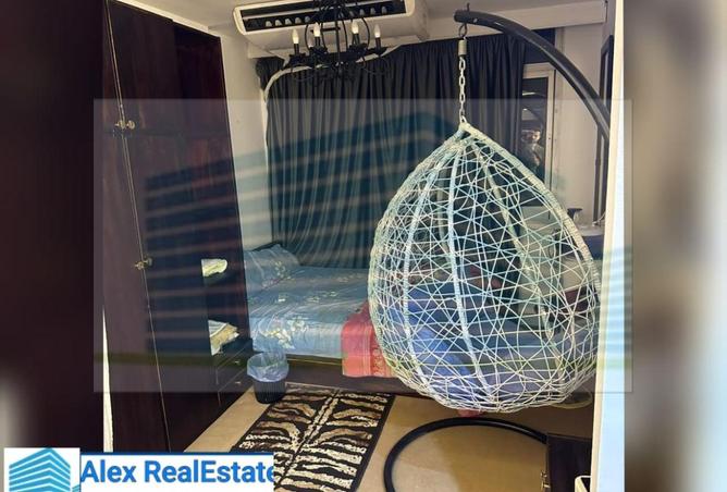 8397326 - Property Image 2