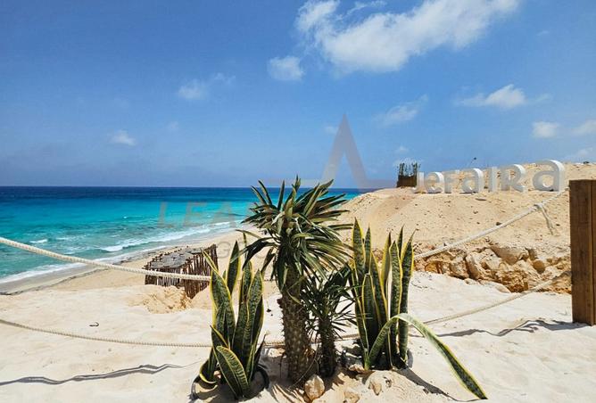 8397447 - الصورة الرئيسية للعقار