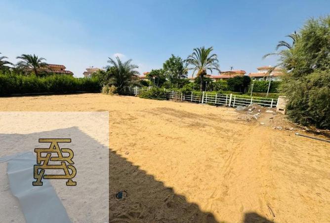 8404714 - صورة العقار 3