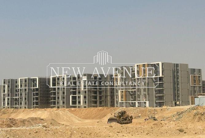 8397982 - Property Image 3