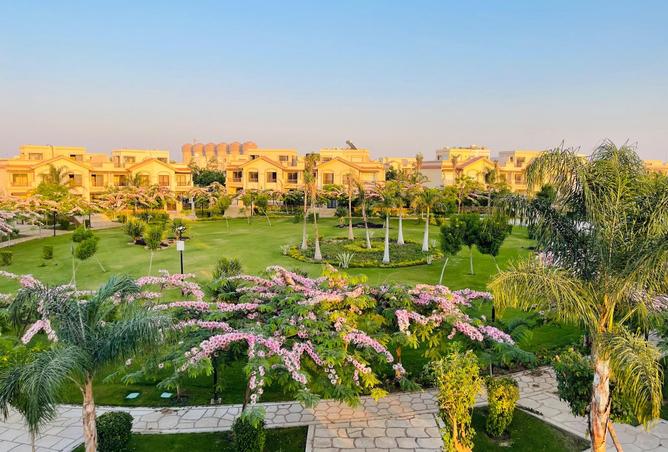 8397671 - صورة العقار 2