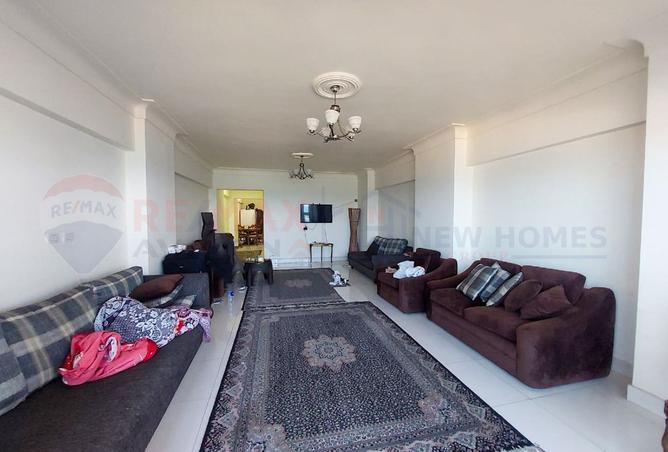 8052593 - Property Image 3