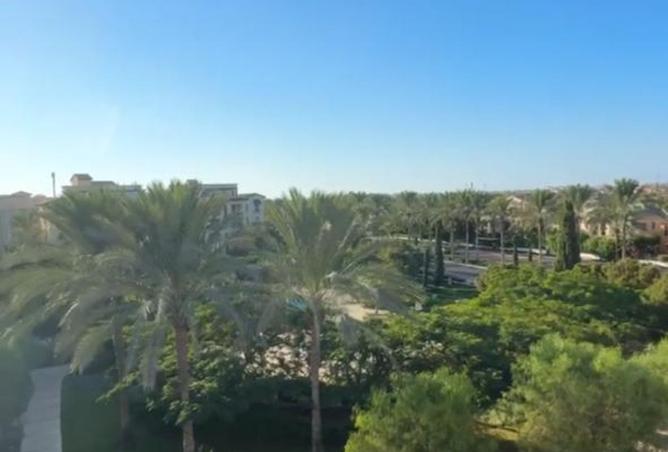 8398125 - Property Image 2