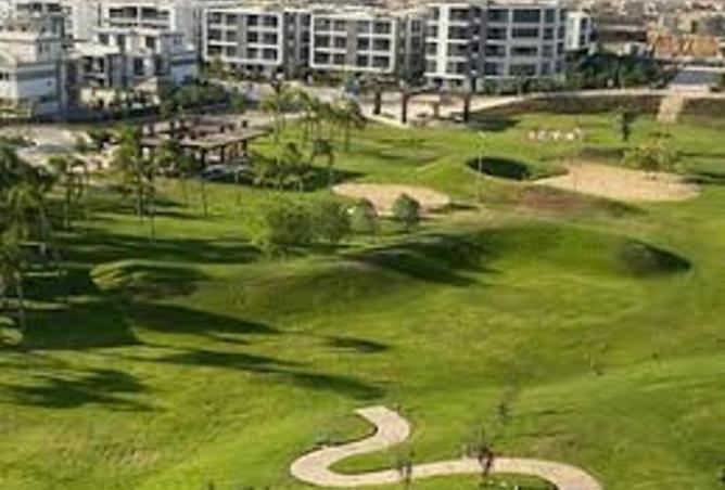 8398444 - صورة العقار 3