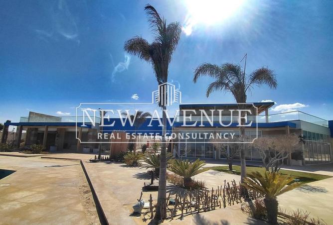 8398629 - صورة العقار 2