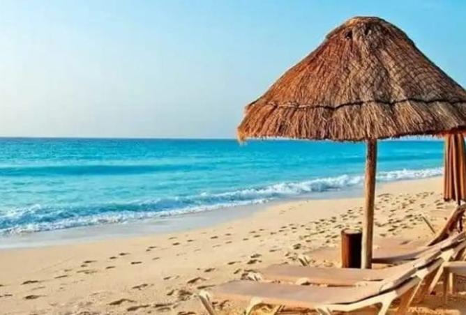 8398976 - الصورة الرئيسية للعقار