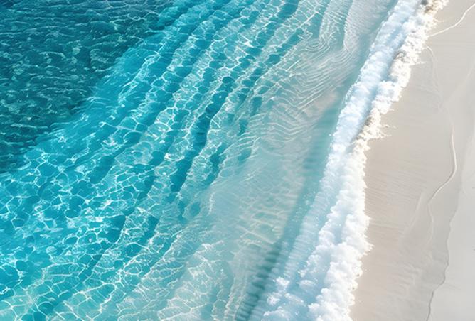 8398976 - صورة العقار 3