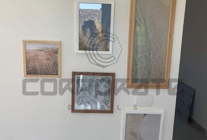 8399136 - Property Image 3