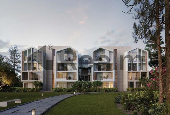 8401216 - Property Image 2