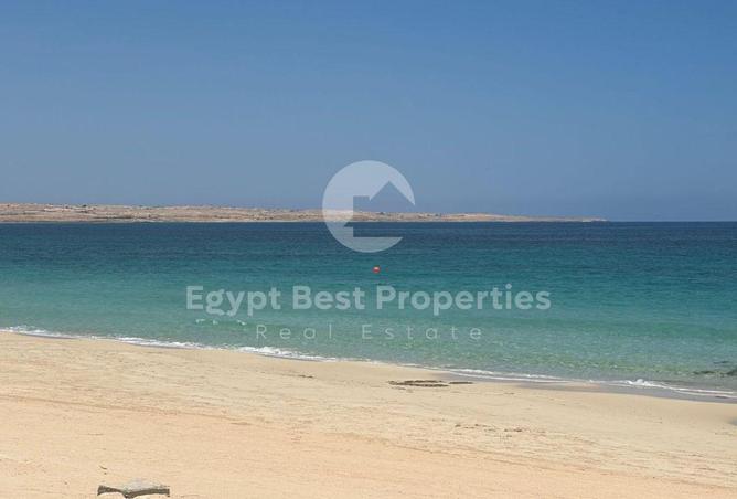 97722291 - صورة العقار 2