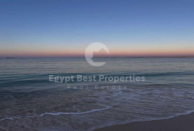 87235260 - صورة العقار 3
