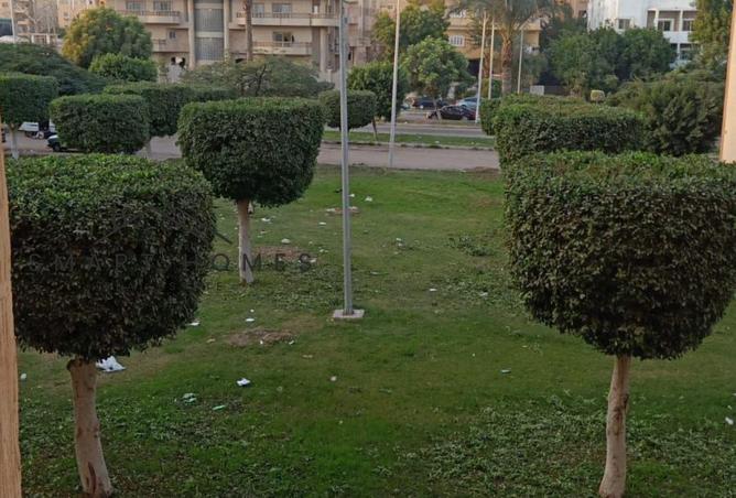 8433574 - Property Image 2