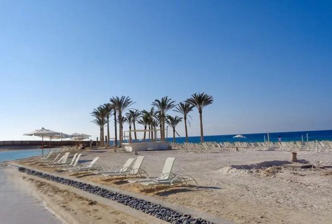 99105752 - صورة العقار 2
