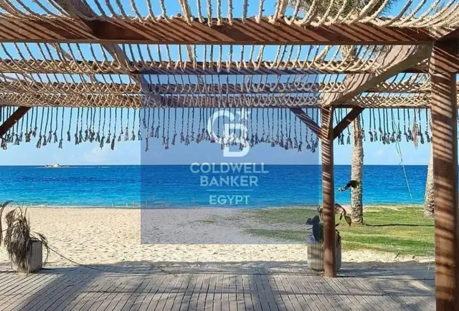 116495067 - صورة العقار 3