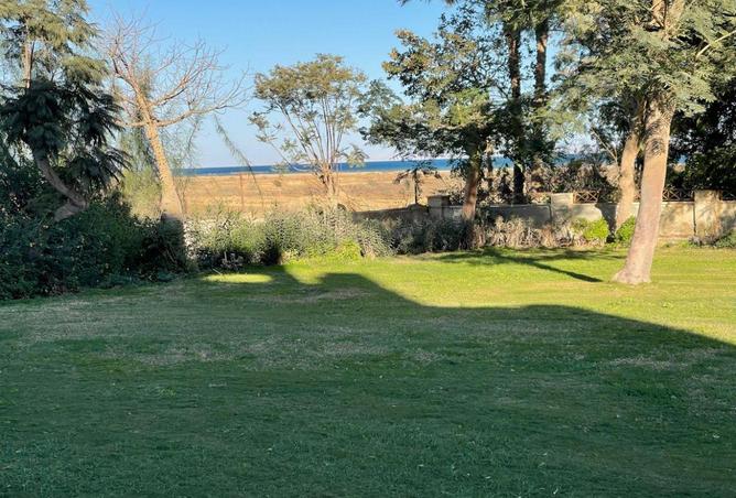 53973743 - Property Image 2