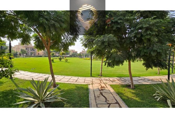 8560755 - Property Image 3