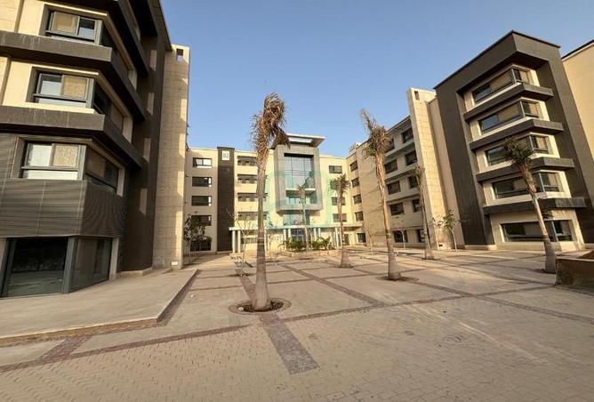 58736629 - Property Image 3