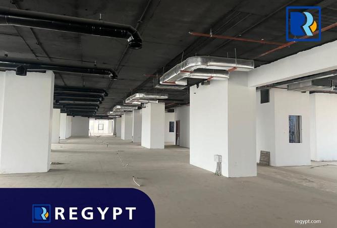 61445393 - Property Image 3