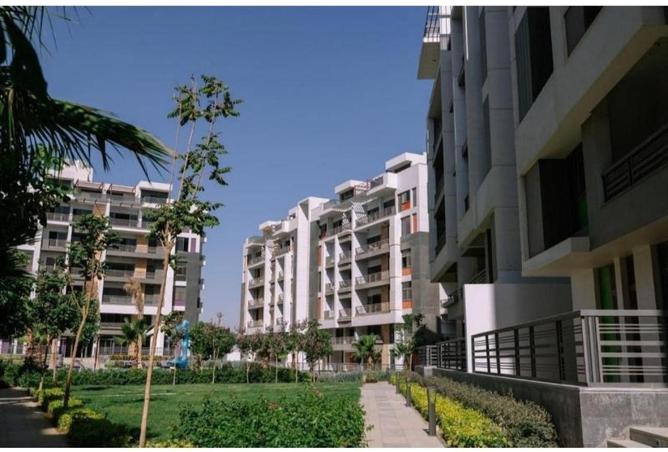 55511975 - Property Main Image