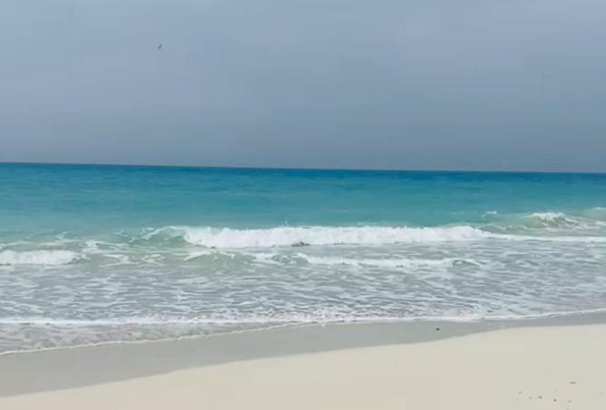 66698198 - صورة العقار 2