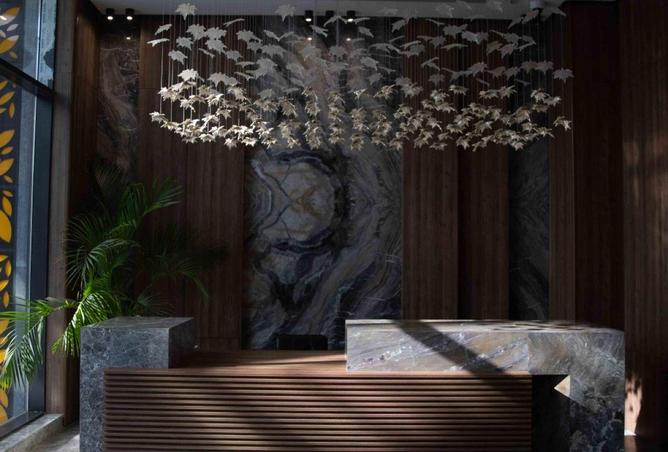 68783217 - صورة العقار 3