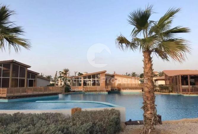 61697785 - Property Image 3