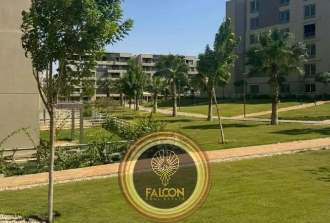 56745009 - صورة العقار 3