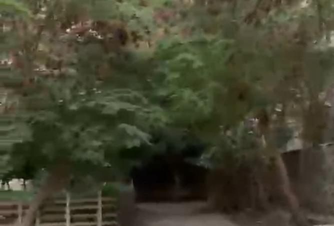 8514663 - صورة العقار 2