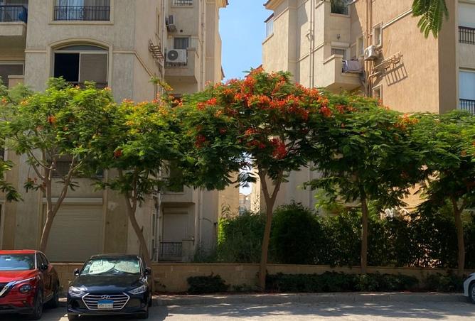 97723833 - صورة العقار 2