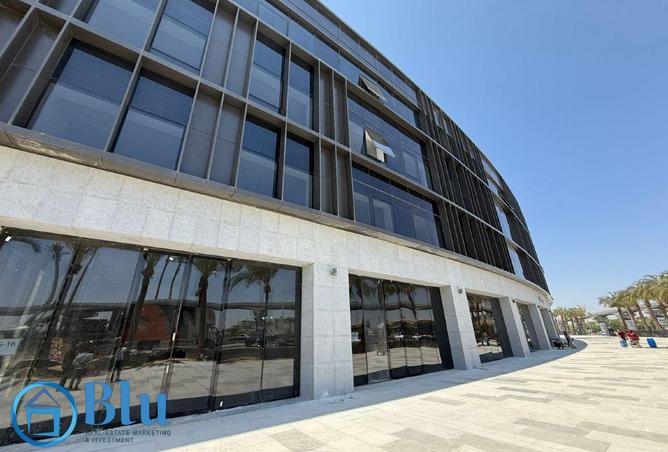 62644130 - Property Image 3