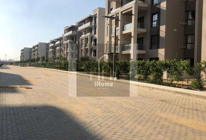 102909857 - Property Image 3