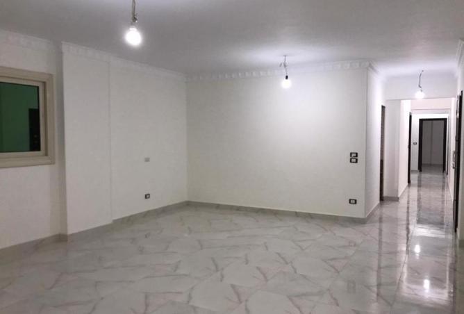 53973543 - Property Image 2