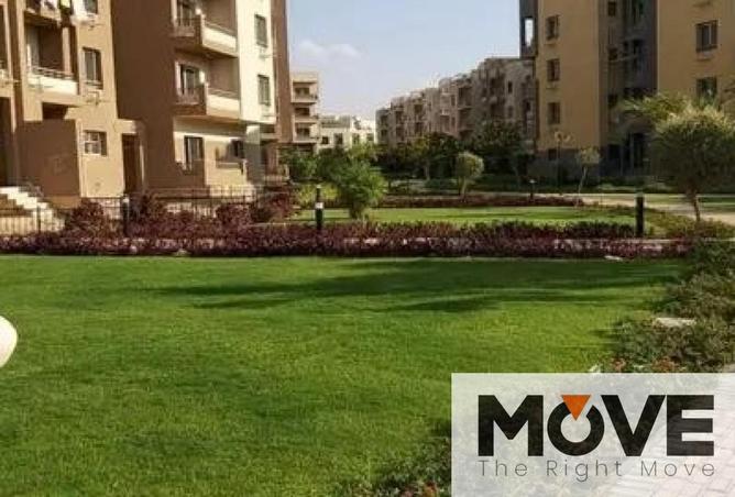 8600384 - صورة العقار 3