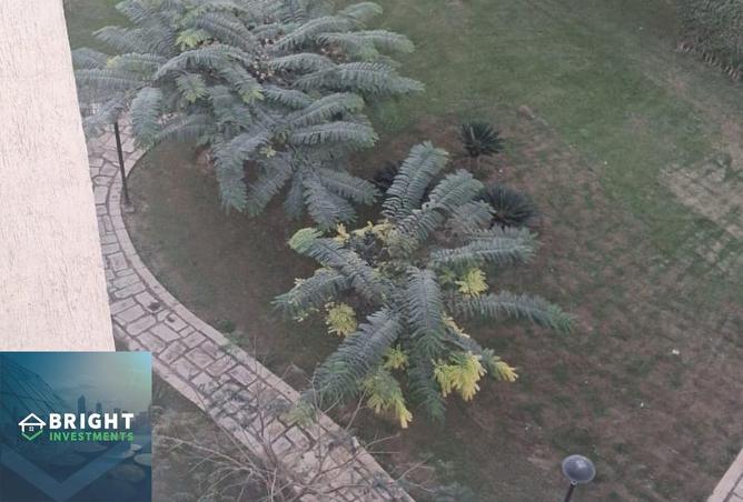 53476277 - صورة العقار 3