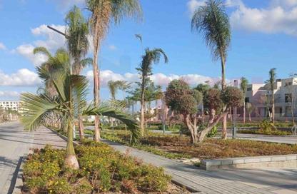 Apartment - 2 Bedrooms - 2 Bathrooms for sale in Palm Hills - Alexandria Compounds - Alexandria