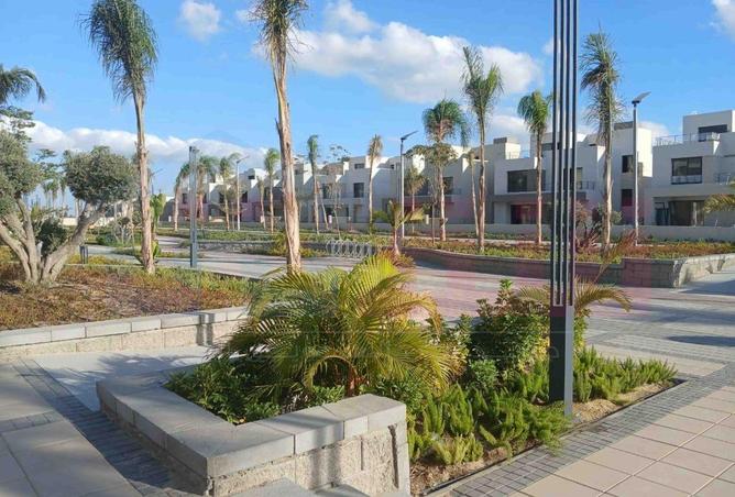 67993049 - صورة العقار 3