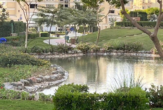 66424437 - صورة العقار 3