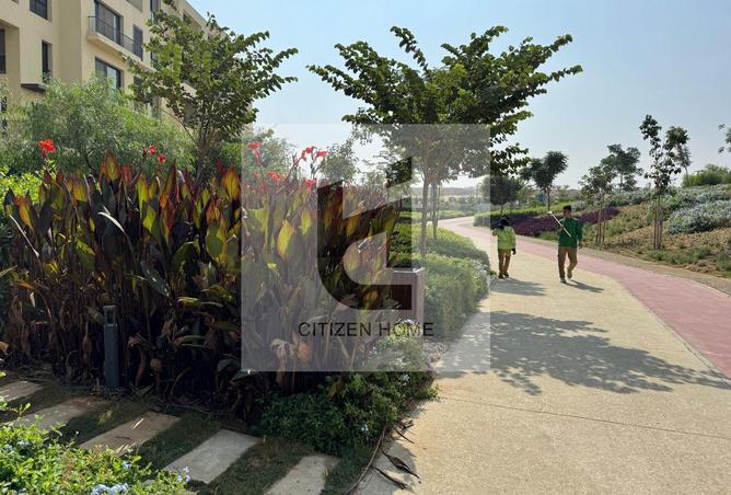 78406249 - الصورة الرئيسية للعقار