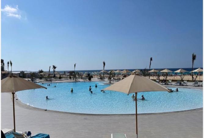 79981063 - صورة العقار 3