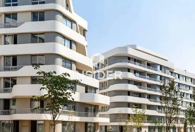 117539716 - Property Image 3
