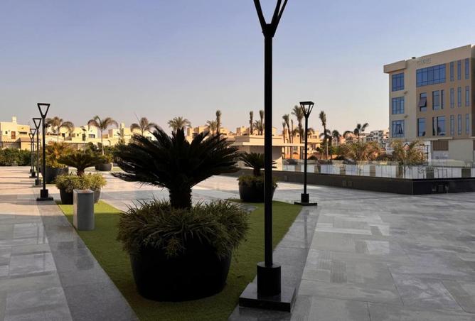 64641556 - Property Image 3