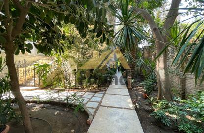 Apartment - 3 - 3 for rent in Mohamed Maraashly St. - Zamalek - Cairo Apartment - 3 - 3 for rent in Mohamed Maraashly St. - Zamalek - Cairo